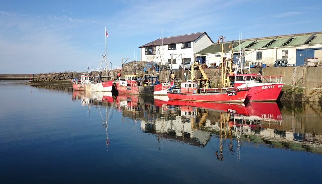 Solent sailing and yacht share
