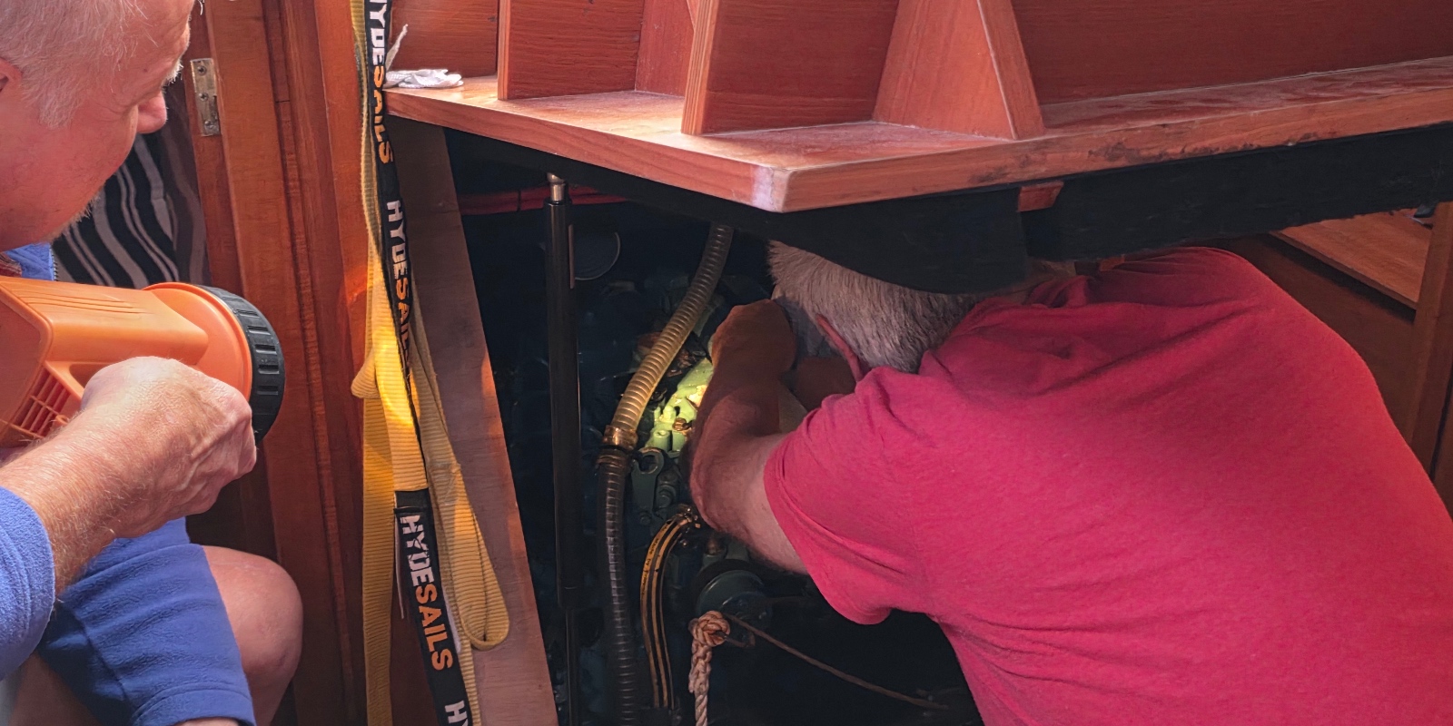 SteveG Investigates Eel Elfida