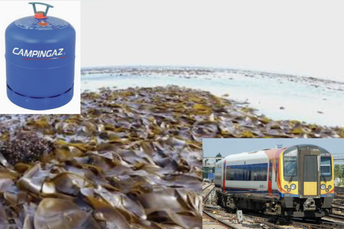 Gaz Seaweed Train