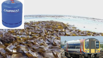 Gaz Seaweed Train